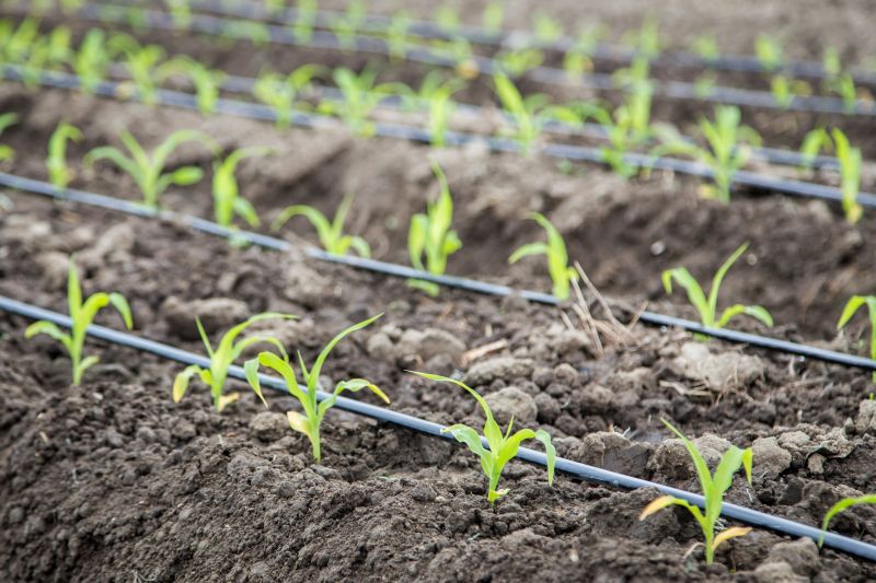 Farm Irrigation Installation in Ventura County, CA
