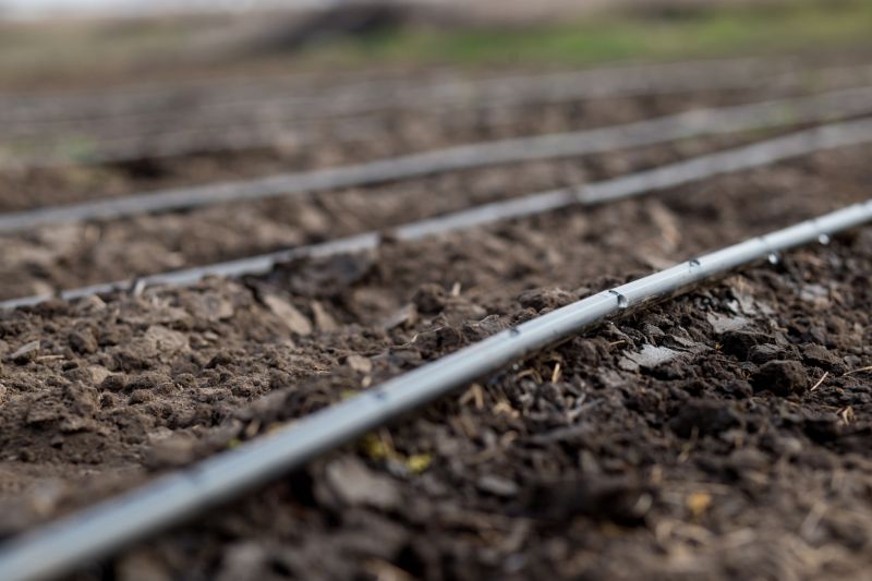Irrigation Service in Aiken, SC
