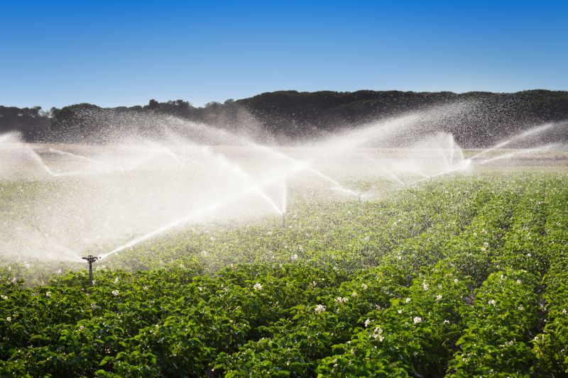 Irrigation Winterization in Reno, NV