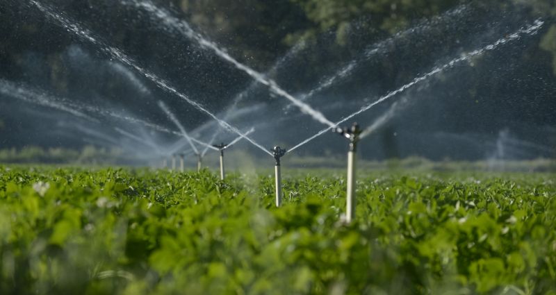 Lawn Sprinkler Installation in Ventura County, CA
