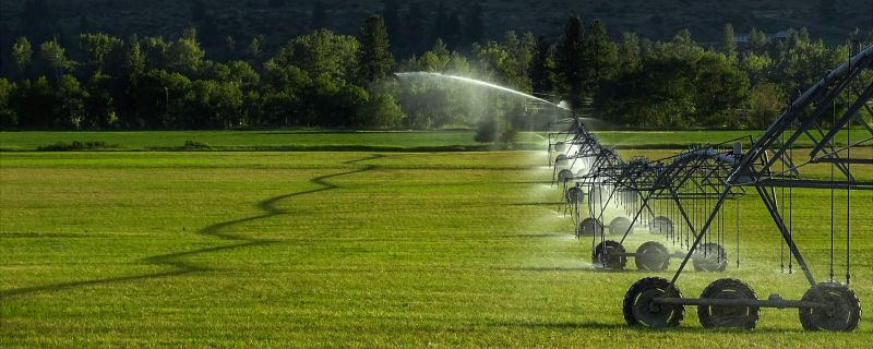 Yard Irrigation Installation in Ventura County, CA