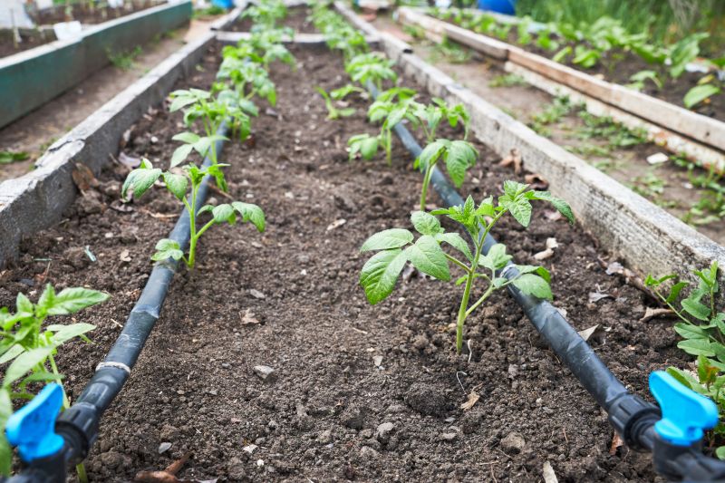 Drip Irrigation Installation in Ventura County, CA