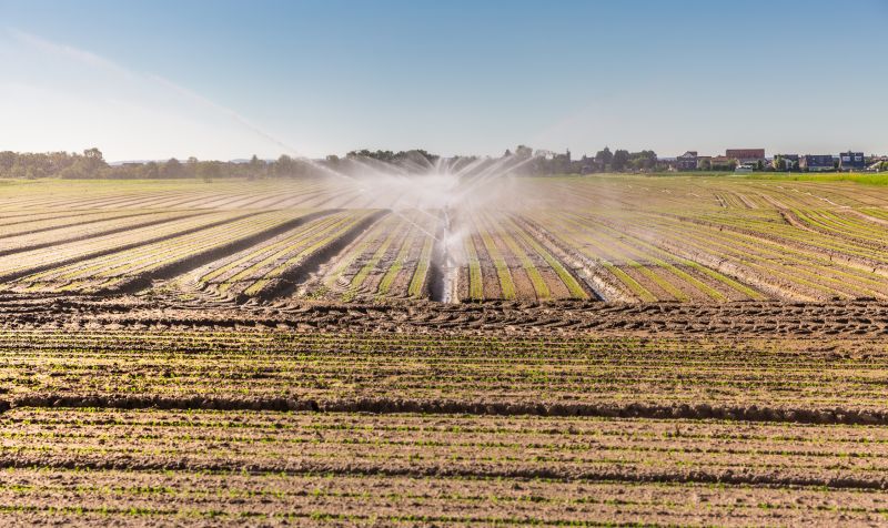 Farm Irrigation Installation in Honolulu, HI