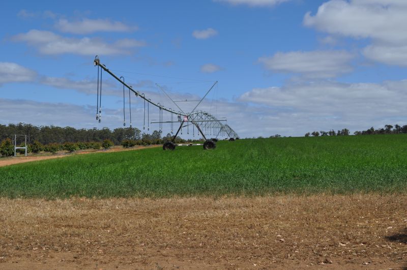 Field Irrigation Installation in Aiken, SC