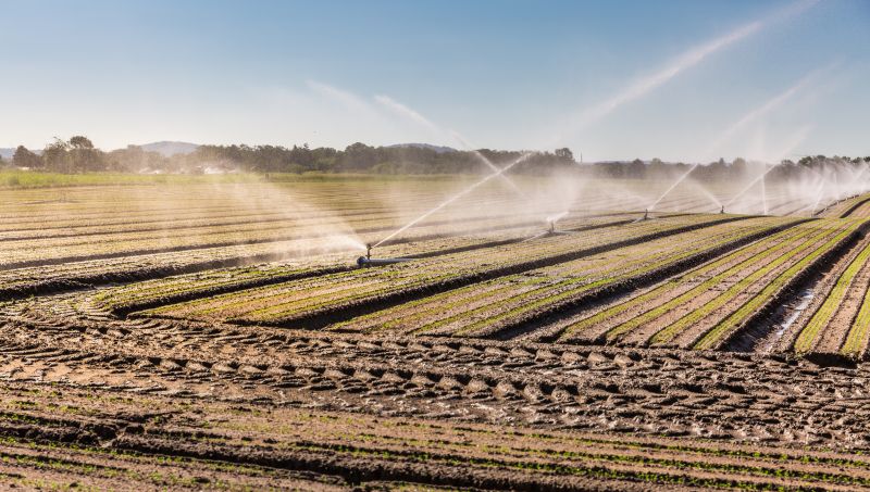 Field Irrigation Installation in Ventura County, CA