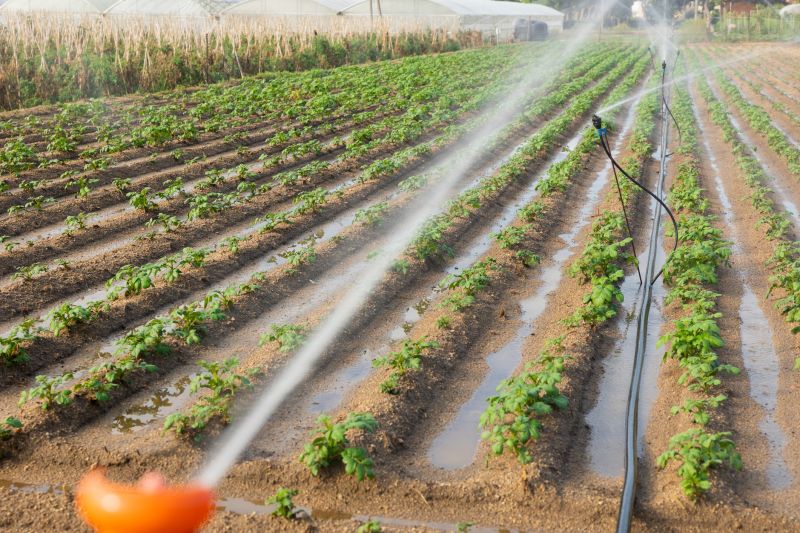 Field Irrigation Installation in Ventura County, CA