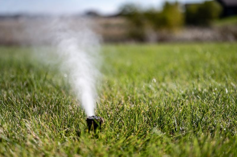 Grass Sprinkler Repair in Aiken, SC