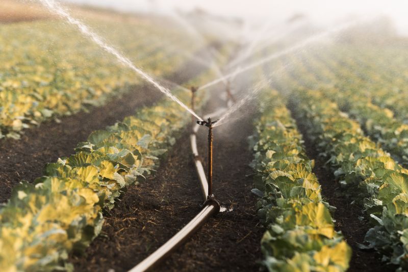 Irrigation Installation in Aiken, SC