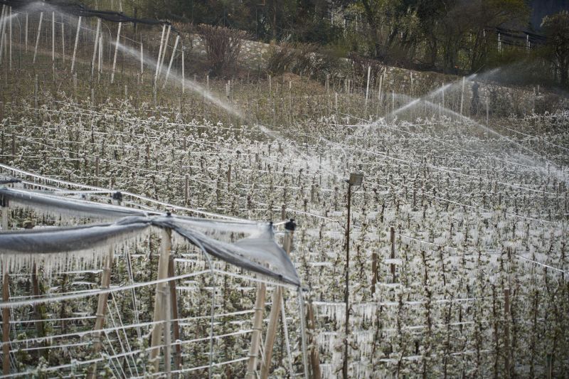 Irrigation Winterization in Honolulu, HI
