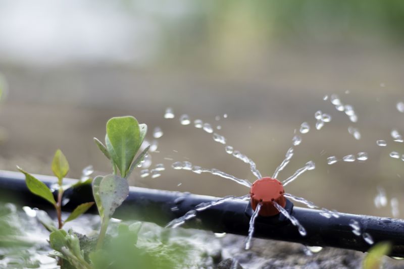 Plant Irrigation Installation in Aiken, SC