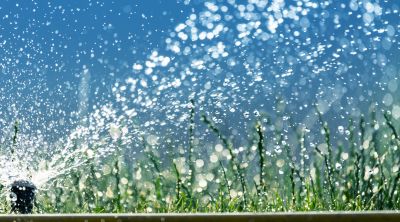 Sprinkler Blowout Service in Reno, NV
