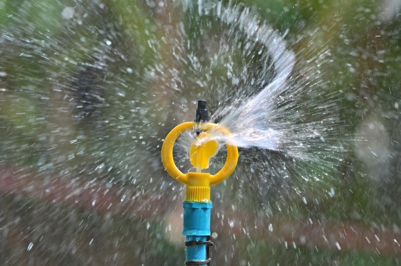 Sprinkler Blowout Service in Carson City, NV