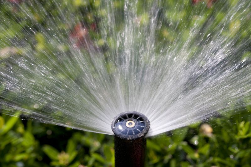 Sprinkler Blowout Service in Carson City, NV