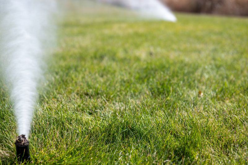 Sprinkler Winterization in Carson City, NV
